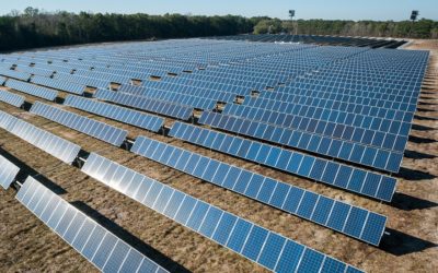 Tout ce qu’il faut savoir sur les panneaux photovoltaïques