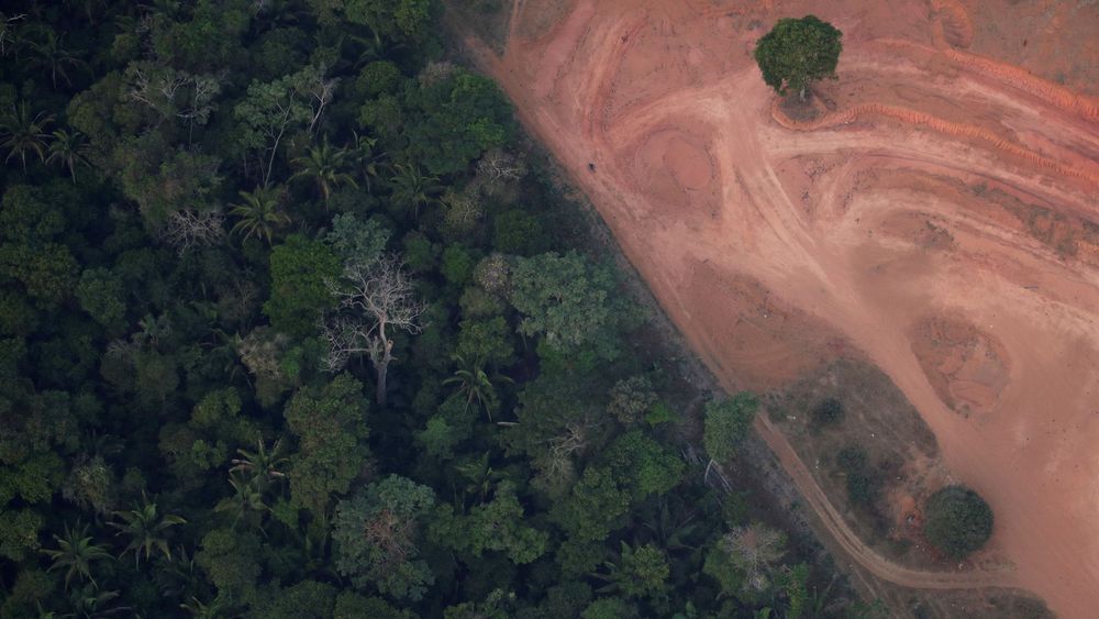 la déforestation de Amazonie brésilienne