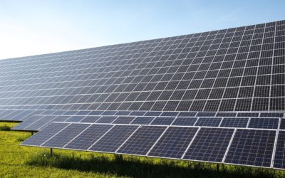 Sobriété énergétique : bientôt une grande centrale photovoltaïque à Rungis