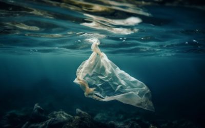 Pollution plastique dans les océans : le constat alarmant d’une ONG