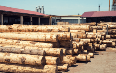 La mauvaise exploitation de la ressource en bois française