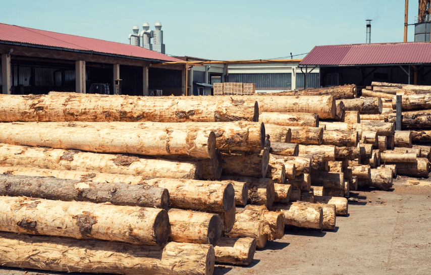 La mauvaise exploitation de la ressource en bois française