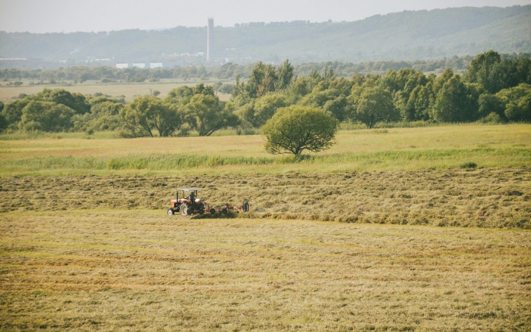 fertilite des sols et phosphore