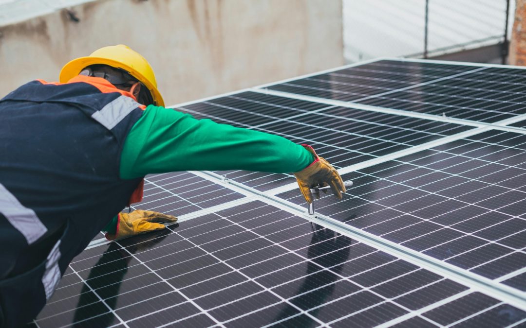 Etablissement verdi - urgence climatique